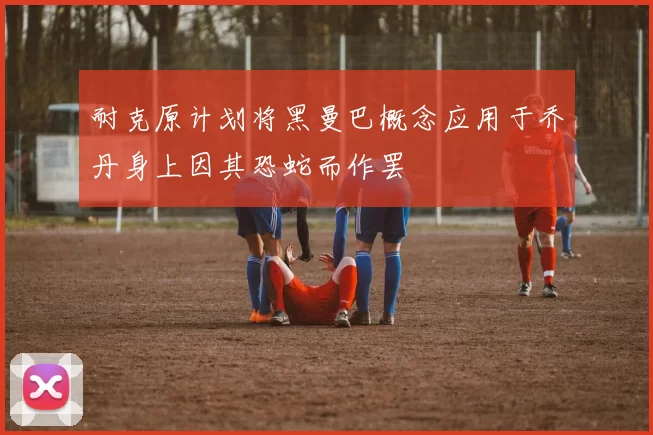 耐克原计划将黑曼巴概念应用于乔丹身上因其恐蛇而作罢